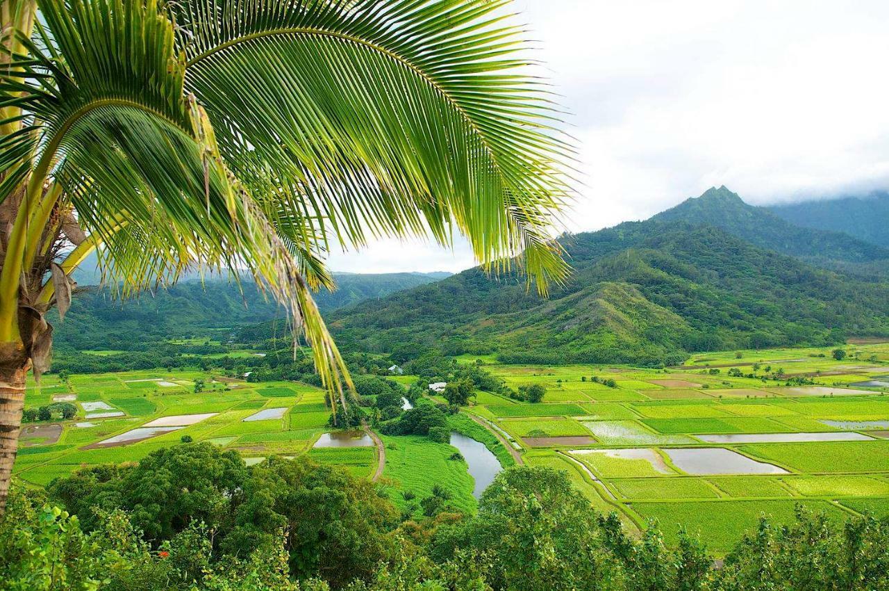 Waipouli Beach Resort Beautiful Luxury Ground Level Garden View Ac Pool! Kapa'a Bagian luar foto